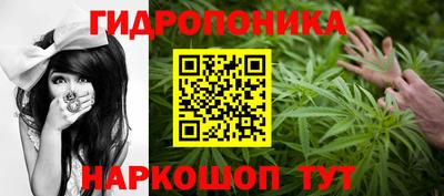 молекула духа Славянск-на-Кубани