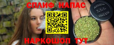 молекула духа Славянск-на-Кубани