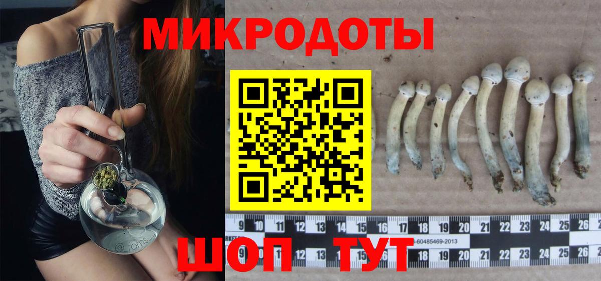 Родники  Псилоцибиновые грибы Magic Shrooms  Вход с VPN 