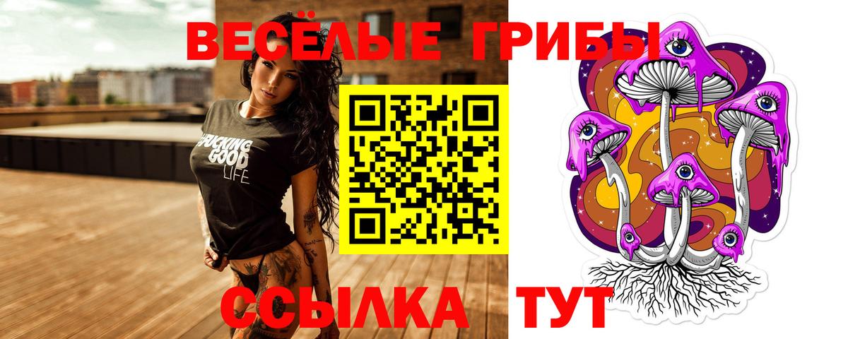 Галлюциногенные грибы Psilocybine cubensis Родники